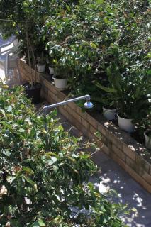 Apartments with a parking space Stari Grad, Hvar - 8686 - 3