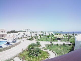 Dolphin Continental Hotel - Quseir - 6