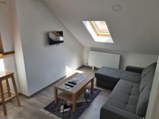 Old Town apartments - Novi Sad - 7