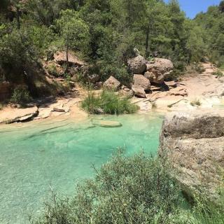 Paradis del Pont, Gualter - 5