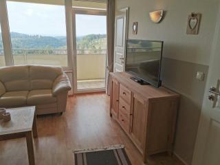 Apartment 535 - Hohegeiss - 8