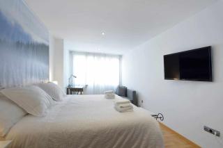 Andrews house 60 m en el centro de Zaragoza - Saragozza - 9