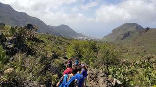 Chinyero Path - Tamaimo - 9