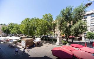 Bookinmadrid com - Puerta Del Sol - Madrid - 9