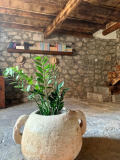 Villa Kovaci - Herceg Novi - 5