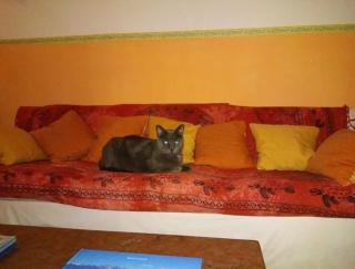 Hotel Villa Morgana - Viareggio - 4