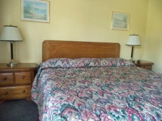 Weathervane Motel Lanesboro - Lanesborough - 7