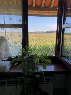 Cascina 'La Giardina' - Fossano - 3