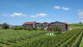 Weinberghof - Hagnau - 3