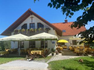 Trautenburg Stub`n - Leutschach - 9