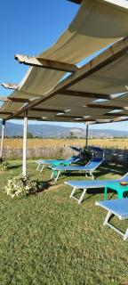 La Rugantina - Cortona - 1