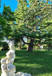 La Fruitière - Chaudenay - 7