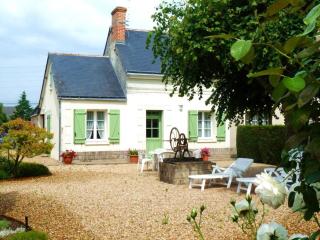 Gîte familial près de la Loire avec grand jardin, parking privé, proche Saumur et activités nautiques - FR-1-622-40 - Saint-Martin-de-la-Place - 0