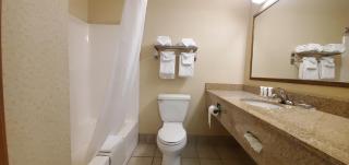 Wingate Suites by Wyndham Youngstown - Austintown - 1