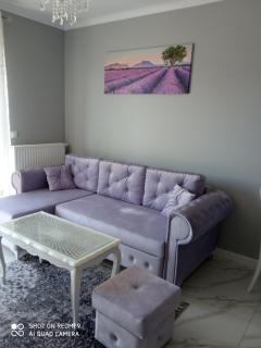 Apartament Lawendowy - Kudowa-Zdrój - 0