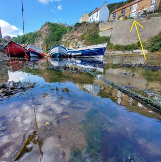 Sea Haven holiday cottage at Staithes - Staithes - 5
