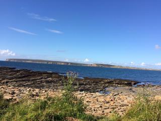 Bower Pods - Bowermadden - 2