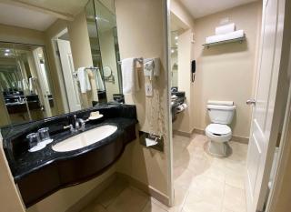 Safi Royal Luxury Valle - Monterrey - 6