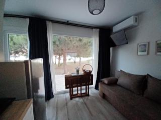 Private Sea front houses !–Platan 3 - Develíkia - 4