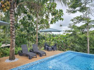 HOTEL MADEIRA BOUTIQUE - Doradal - 5