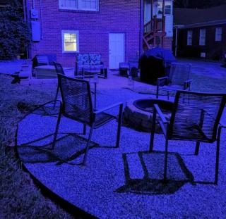 NEW studio apt & backyard oasis in historic uptown - 1