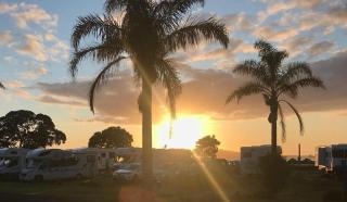 Takapuna Beach Holiday Park - 2