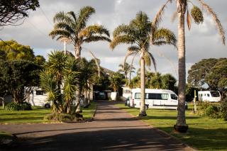 Takapuna Beach Holiday Park - 1