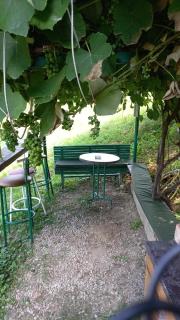 Medena oaza mira - 5