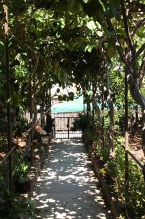 Apartments by the sea Podaca, Makarska - 6821 - 5