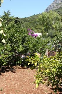 Apartments by the sea Podaca, Makarska - 6821 - 4