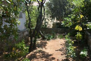 Apartments with a parking space Mandre, Pag - 6517 - 3