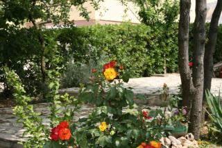 Apartments with a parking space Mandre, Pag - 6456 - 3