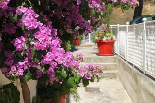 Apartments with a parking space Podgora, Makarska - 6847 - 4