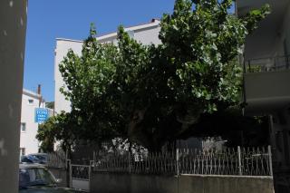 Apartments by the sea Baska Voda, Makarska - 6848 - 8