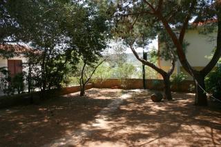 Apartments with a parking space Stara Novalja, Pag - 6463 - Novalja - 3