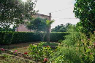 Apartments and rooms with parking space Novalja, Pag - 6482 - Novalja - 2
