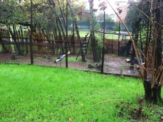 Hobbit Hut - Geyserville - 1