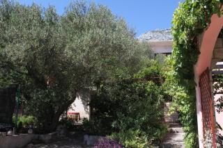 Apartments with a parking space Tucepi, Makarska - 6775 - 0