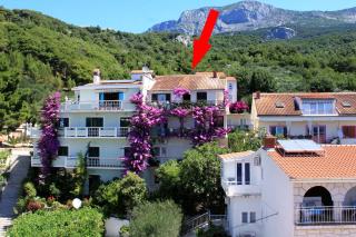 Apartments and rooms with parking space Podgora, Makarska - 6790 - 0