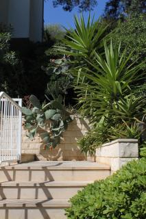 Apartment Pasadur 8337g - Ubli - 3