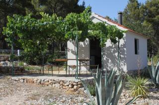 Apartments by the sea Pasman - 8219 - Pašman - 2