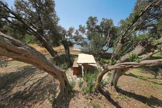 Secluded fisherman's cottage Cove Donje More, Pasman - 8413 - Tkon - 4