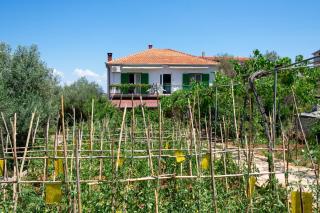 Apartments with a parking space Kraj, Pasman - 8457 - Tkon - 0