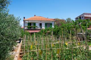 Apartments with a parking space Kraj, Pasman - 8457 - Tkon - 9