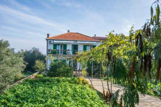 Apartments with a parking space Kraj, Pasman - 8457 - Tkon - 8