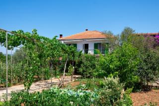 Apartments with a parking space Kraj, Pasman - 8457 - Tkon - 2