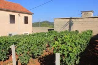 Apartments with a parking space Zaglav, Dugi otok - 8163 - Sali - 3