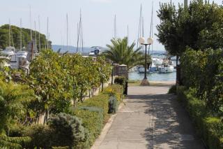 Apartments by the sea Kukljica, Ugljan - 8451 - 4