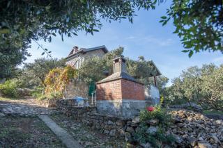Secluded fisherman's cottage Cove Ladjin - Landjin, Pasman - 8500 - Tkon - 2
