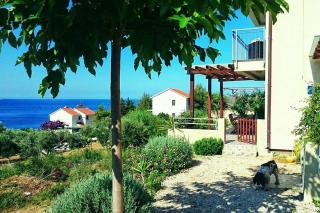 Apartments by the sea Zavala, Hvar - 8637 - 3